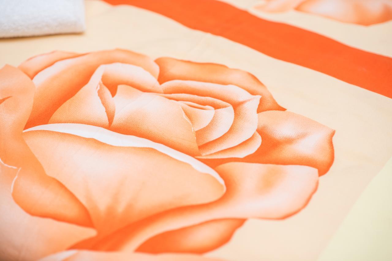 Gaestehaus Villa Rose Durrrohrsdorf エクステリア 写真
